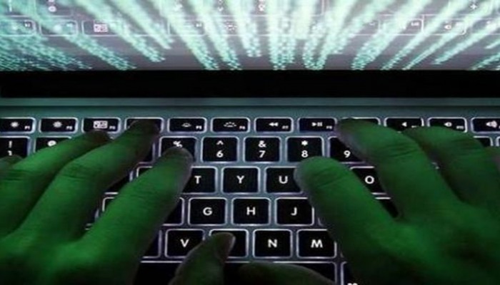 كاتبة أمريكية تتهم حكومة الانقلاب باختراق حسابها برسائل مفخخة