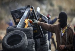 3 عمليات فدائية و48 نقطة مواجهة.. حصاد الأسبوع الماضي