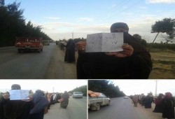 سلسلة بشرية لثوار النوبارية تدعو لوحدة الصفّ