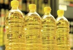 الجهاز  المركزى للاحصاء انخفاض نصيب الفرد من السكر والزيت