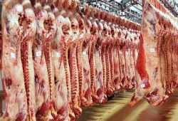 على الرغم من انخفاض الدولار الاسعار تواصل الارتفاع ولحوم تكسر حاجز 130 جنية للكيلوا