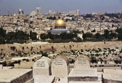 الاحتلال يصادر أراضيَ فلسطينية لإقامة متنزه صهيوني بالقدس