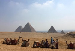 الانقلاب يوقف إنشاء شركات سياحية لعدم جدواها !