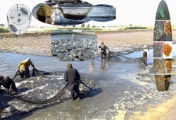 "أسماك المزارع" تسبب الفشل الكلوي.. تعرف على التفاصيل