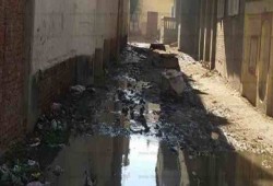 مياه الصرف الصحي تغرق قرية فيشا في البحيرة