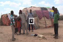 يونيسيف: 1.4 مليون طفل يواجهون الموت جوعا