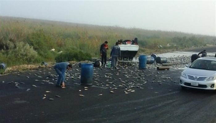 انقلاب سيارة محملة بالأسماك على طريق دمياط الجديدة