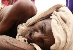 الأمم المتحدة: المجاعة تهدد 17 مليون يمني