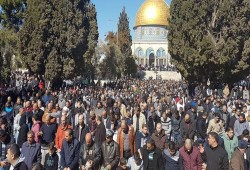 50 ألف مصلٍّ يؤمّون "الجمعة" بالأقصى