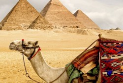 روسيا توجه صفعة للسياحة المصرية.. وتدمر مكاسب "ميسي"