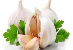 مضادات حيوية طبيعية فى مطبخك تغنيك عن الأدوية