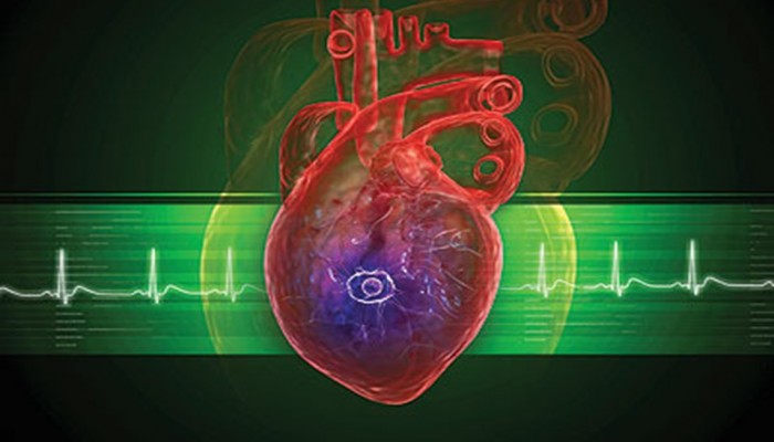جديد.. كاميرا مطورة تقرأ بدقة معدل ضربات القلب