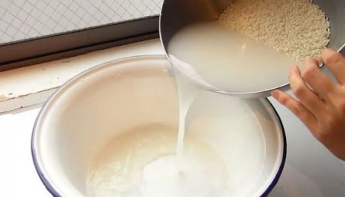 ماذا يحدث للجسم عند شرب ماء الأرز؟