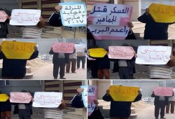 6 مظاهرات لثوار الدقهلية ترفض جرائم العسكر بسيناء
