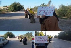 سلسلة بشرية لثوار النوبارية تطالب بإسقاط الانقلاب