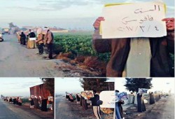 ثوار فاقوس بالشرقية يواصلون تظاهراتهم في ثانِ أيام "سيناء تفضح خيانتكم"