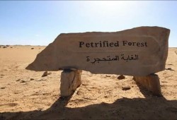 في عهد الانقلاب مصر تبيع محمية طبيعية  لبناء مساكن عليها !