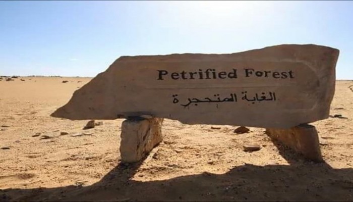 في عهد الانقلاب مصر تبيع محمية طبيعية  لبناء مساكن عليها !