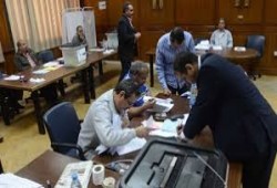 "العليا لانتخابات الصيادلة": نسبة التصويت لم تتعد 10%