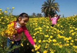مصر تشهد الاعتدال الربيعى وتساوى الليل والنهار 20 مارس