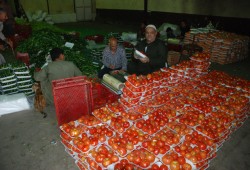 البرد يتسبب في تفاقم مشاكل المصريين ويرفع أسعار الخضروات والفاكهة