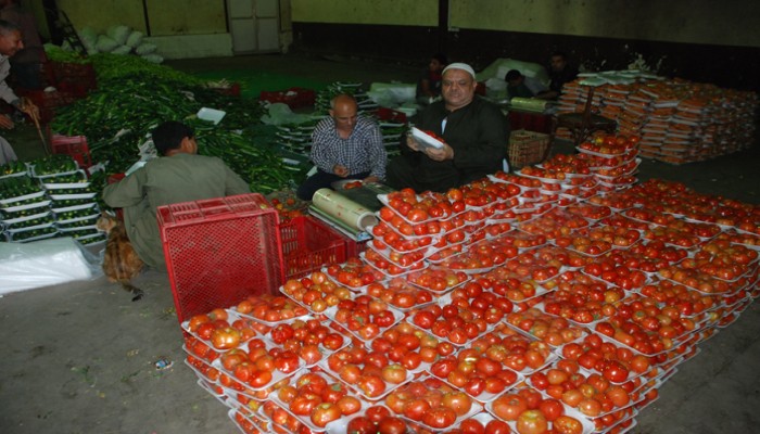 البرد يتسبب في تفاقم مشاكل المصريين ويرفع أسعار الخضروات والفاكهة