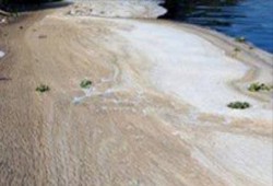 كارثة صحية تهدد أهالى ناحية العطف بالمحمودية بسبب مخلفات مصنع كفر الزيات