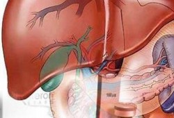 أفضل 10 أطعمة تساعد في تطهير كبد الإنسان وحمايته