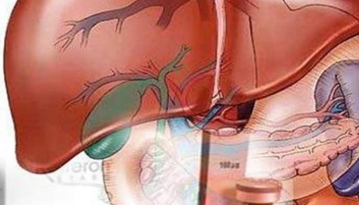 أفضل 10 أطعمة تساعد في تطهير كبد الإنسان وحمايته