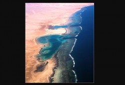 كارثة بيئية.. الانقلاب يبيع محمية «الغابة المتحجرة» من أجل الدولار