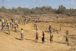 حملة قطرية عاجلة لإغاثة المتضررين من الجفاف في 3 دول إفريقية