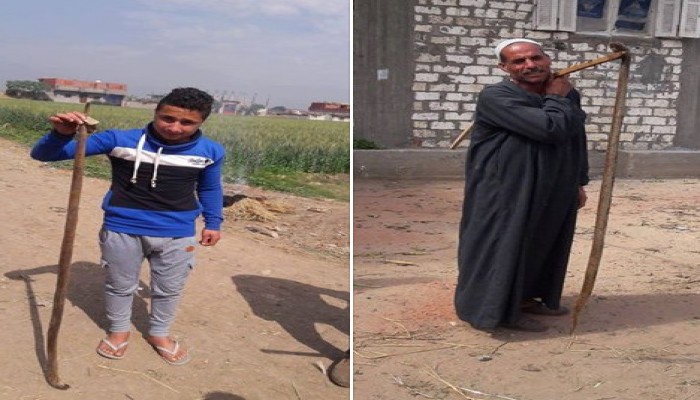"الأفاعي والثعابين" تهدد حياة تلاميذ إيتاي البارود