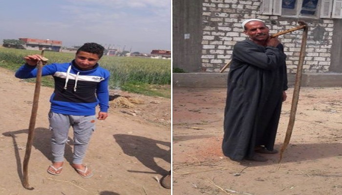 "الأفاعي والثعابين" تهدد حياة تلاميذ إيتاي البارود