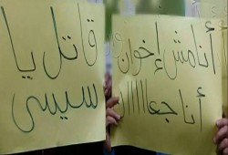 ثوار المحلة يتظاهرون الجمعة للمرة الثانية ضد الانقلاب