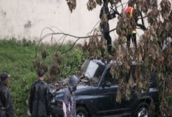 ارتفاع عدد ضحايا إعصار مدغشقر لـ 50 قتيلا وأكثر من 176 ألف منكوب