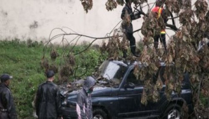 ارتفاع عدد ضحايا إعصار مدغشقر لـ 50 قتيلا وأكثر من 176 ألف منكوب