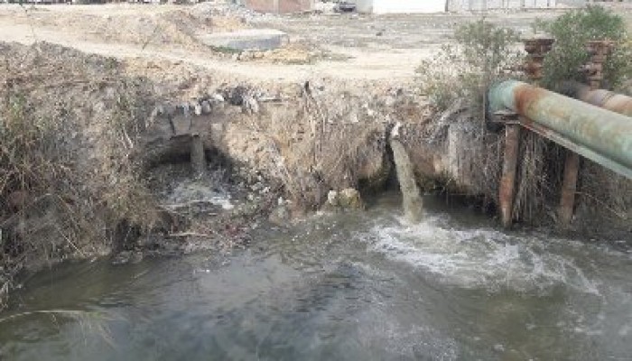 اختلاط مياه الصرف بمياه الري يثير فزع الأهالي بأبو المطامير