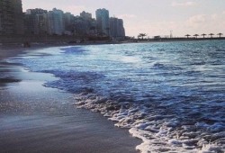 ظهور بقعة زيت بشاطئ أبو تلات بالإسكندرية