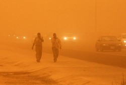 الأرصاد: الربيع يبدأ 21 مارس ويتخلله 6 موجات خماسينية