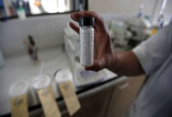 بالذهب الأبيض.. أمريكا الجنوبية سعودية جديدة