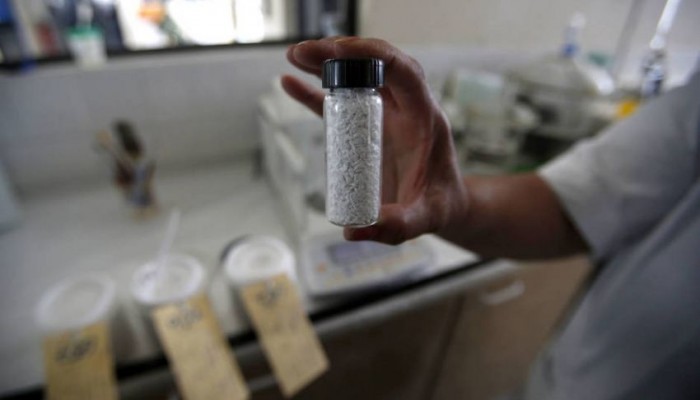 بالذهب الأبيض.. أمريكا الجنوبية سعودية جديدة