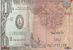 الجنيه المصري يهبط لأدنى مستوى في شهر