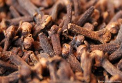 هذه الأعشاب الطبية قادرة على قتل "السرطان"