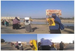 سلسلة بشرية لحرائر  النوبارية  رفضا للانقلاب