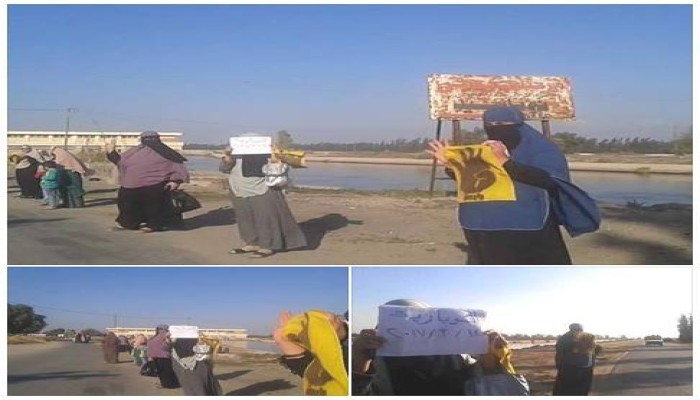 سلسلة بشرية لحرائر  النوبارية  رفضا للانقلاب
