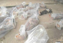 مفوض حقوق الإنسان: سوريا أصبحت غرفة تعذيب ومكاناً للرعب الوحشي والظلم المطلق