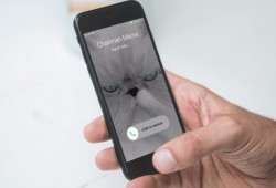 تطبيق سيجنال يطلق ميزة مكالمات الفيديو المشفرة