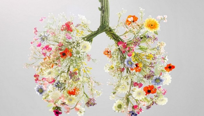 لماذا يضر القدوم المبكر لفصل الربيع بالصحة؟