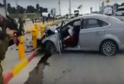 الاحتلال يطلق النار على فتاة بزعم محاولتها دهس جنود شمال الخليل