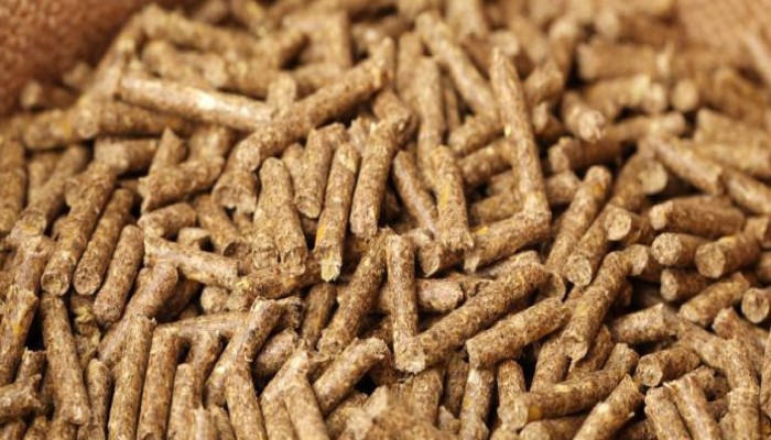 الأسعار في أسبوع: ارتفاع الأعلاف والدولار والذهب